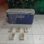 Hallan droga en una conservadora con verduras; iba como encomienda a San Matías