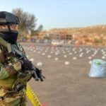 Felcn secuestra 290 kilos de marihuana en Cochabamba y afecta al narcotráfico en $250,000