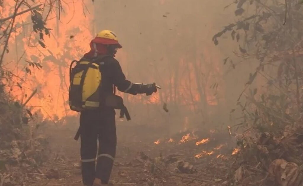 El gobierno anuncia la llegada del avión Electra Tanker y refuerzos para combatir incendios forestales