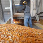 Actualizan arancel de importaciones e incluyen gravamen cero para productos esenciales