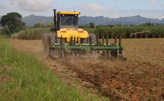 La soja alcanza el 80% de siembra, el arroz el 75% y el maíz el 51%, detalla Desarrollo Rural
