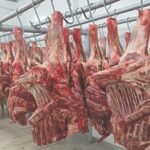 Gobierno Suspende la Exportación de Carne de Res hasta que Baje su Precio en el Mercado Local