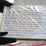 Recuperan 386 joyas robadas de tres joyerías en Santa Cruz