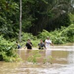 Más de 280 familias están afectadas por las inundaciones en el municipio de Reyes en Beni