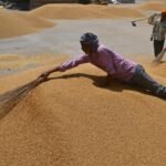 El FMI estima que la economía mundial crecerá sólo 2,8%, por los aranceles de Trump