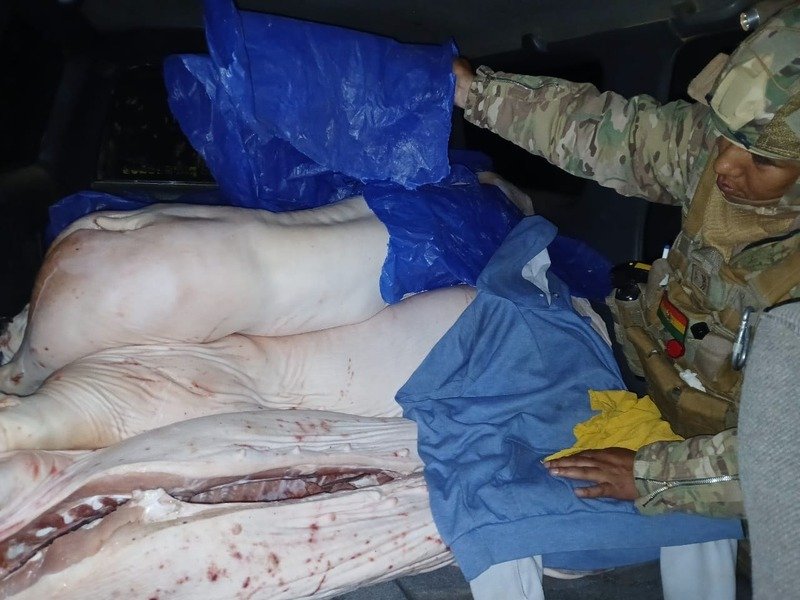 Comisan más de 95 toneladas de carne de contrabando en cuatro meses, hay 9 aprehendidos