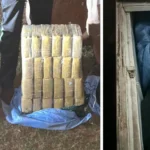 Hallan 91 paquetes de marihuana ocultos en una heladera que era transportada en una camioneta