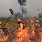 Ocho incendios forestales se mantienen activos en Santa Cruz