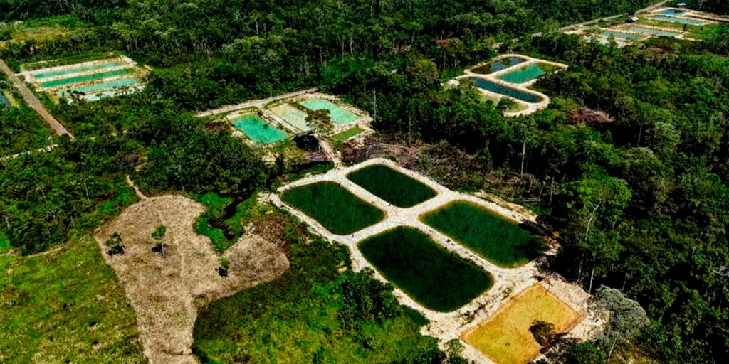 Entregan 168 pozas piscícolas para crianza de pacú y tambaquí en Cochabamba