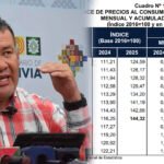 INE reporta aumento de precios en agosto y prevé bajas en alimentos y productos importados