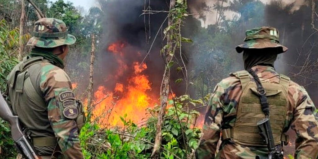 Gobierno revela que el 90% de fábricas de droga está en el Trópico de Cochabamba