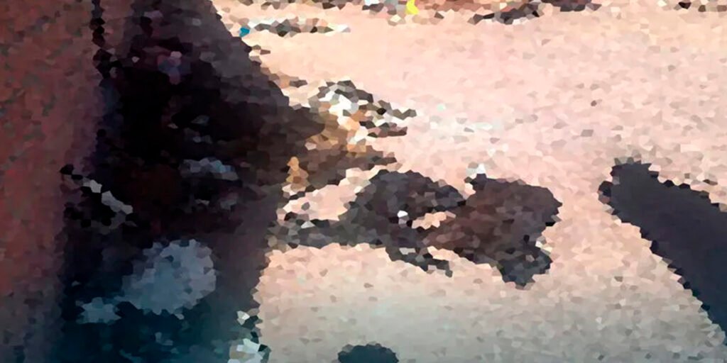 Mueren 45 chivos por heridas de picota en Tupiza, Potosí