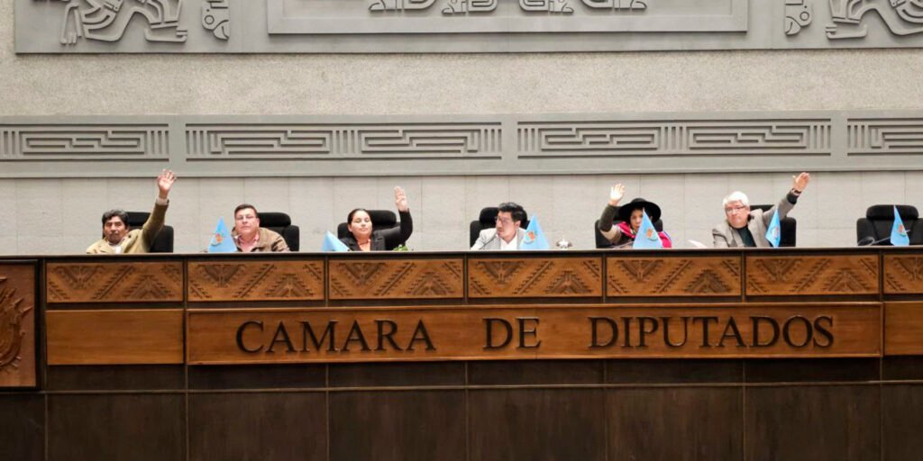 Diputados bloquean crédito de $us 100 millones y frenan plan de emergencia laboral